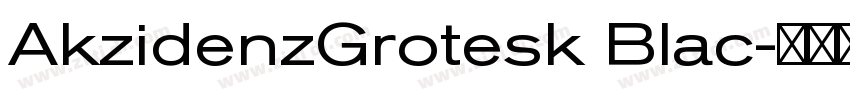 AkzidenzGrotesk Blac字体转换